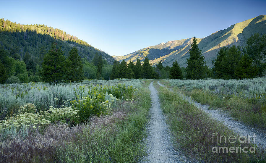 Harriman Trail Photograph by Idaho Scenic Images Linda Lantzy