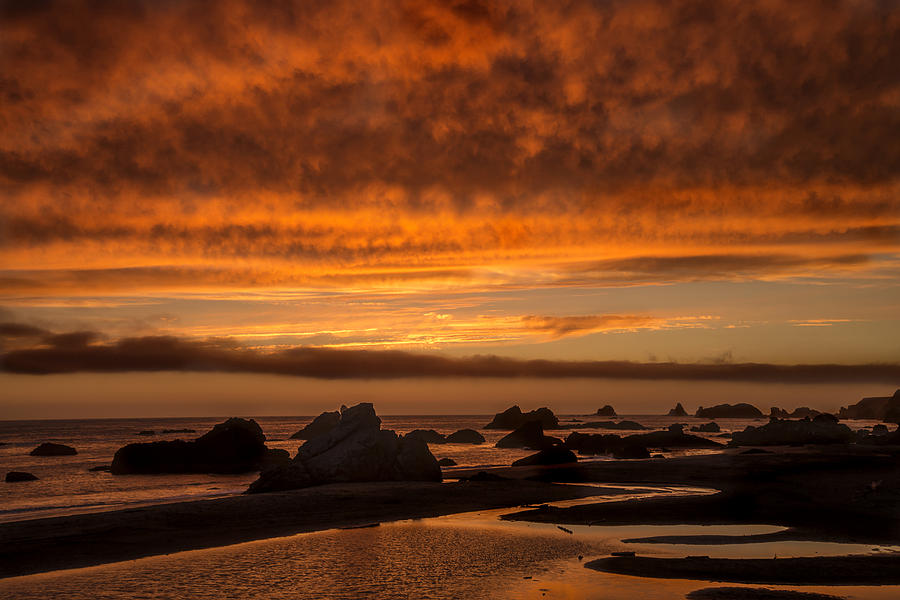 Harris Beach Sunset 1 Photograph by Lee Kirchhevel