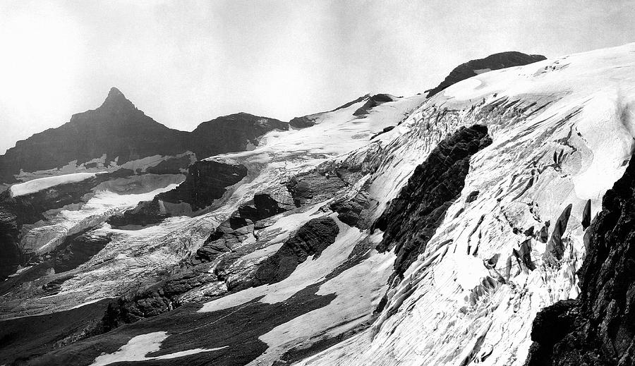 Harrison Glacier Photograph by Wc Alden/usgs/science Photo Library