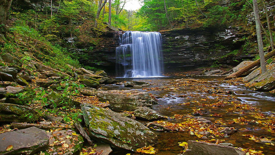 Landscape Photograph - Harrison Wright Falls In Early Fall by Rich Walter