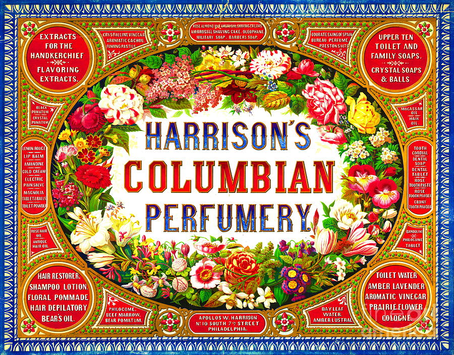 Harrisons Columbian Perfumery 1854 Photograph by Padre Art