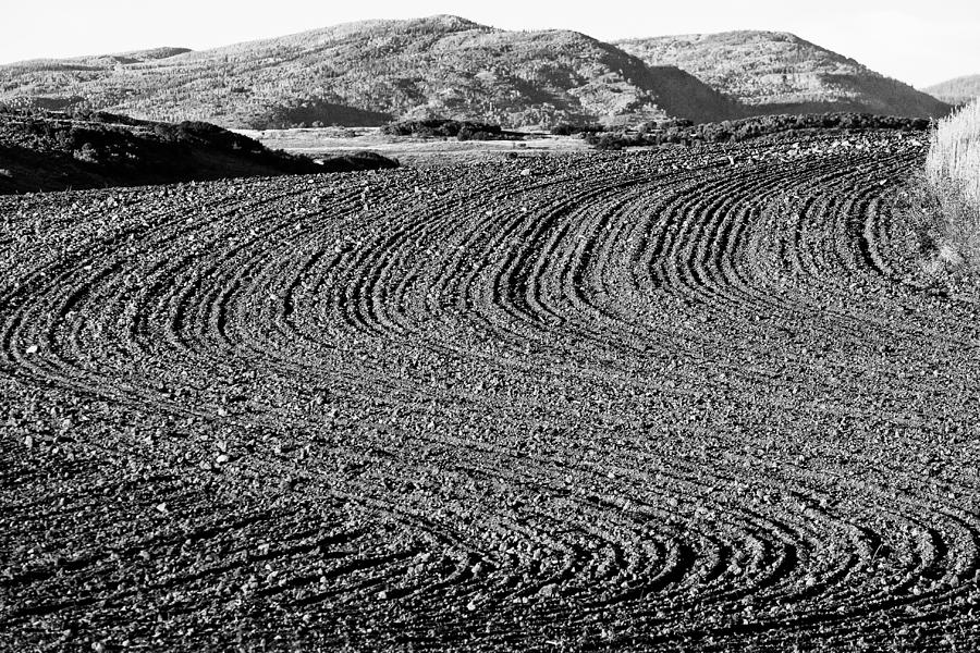 Black And White Photograph - Harrowed Field by John McArthur