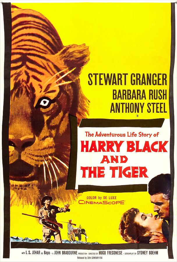 Harry Black And The Tiger, Aka Harry Photograph by Everett