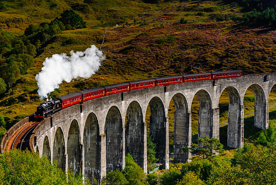 Harry Potter Train Photograph by David McAlpine - Pixels