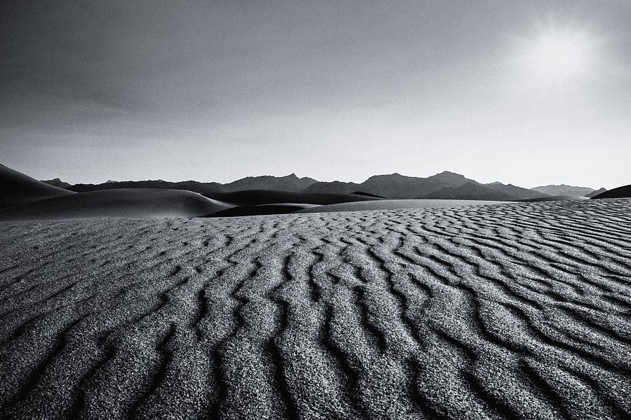 Desert Lines Photograph by Gene Garnace