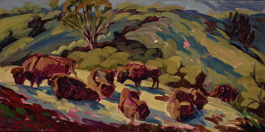 Hart Ranch Buffalo Painting by Jane Thorpe