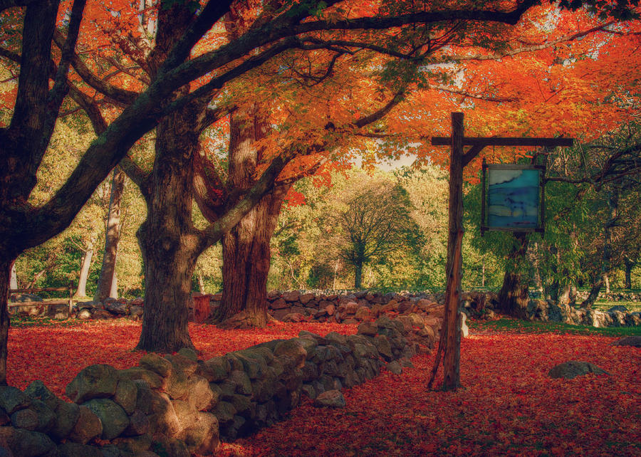 Hartwell tavern under orange fall foliage Photograph by Jeff Folger