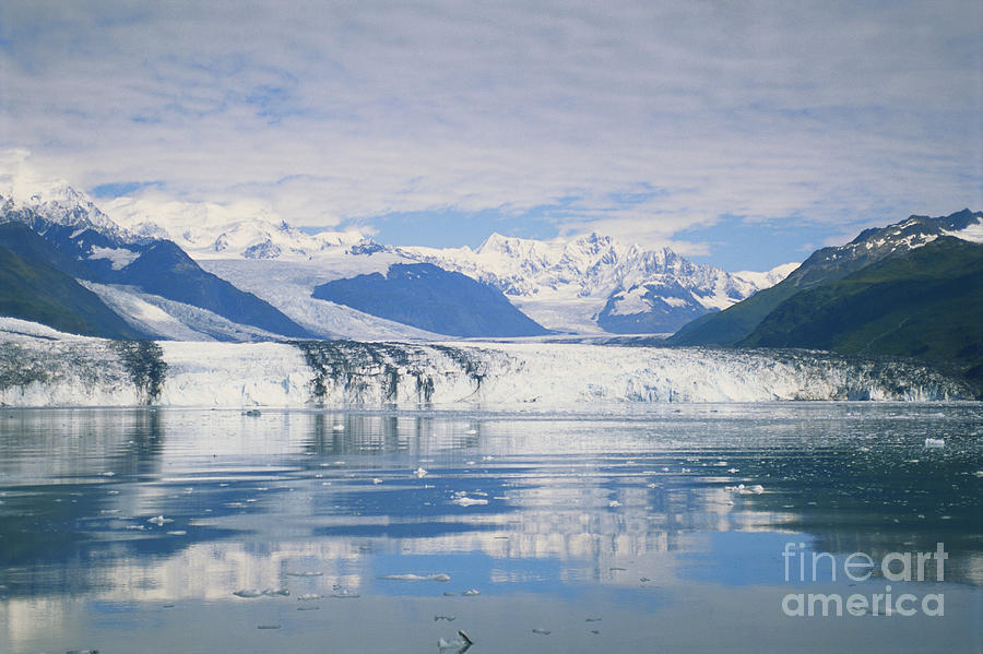 Harvard Glacier Photograph by Mark Newman