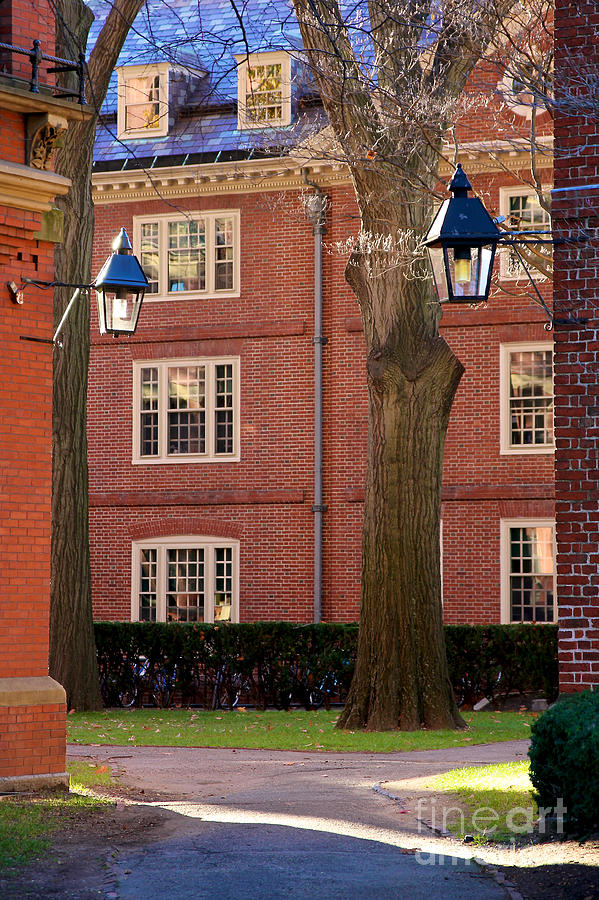 Harvard University Buildings Photograph by Jannis Werner - Fine Art America