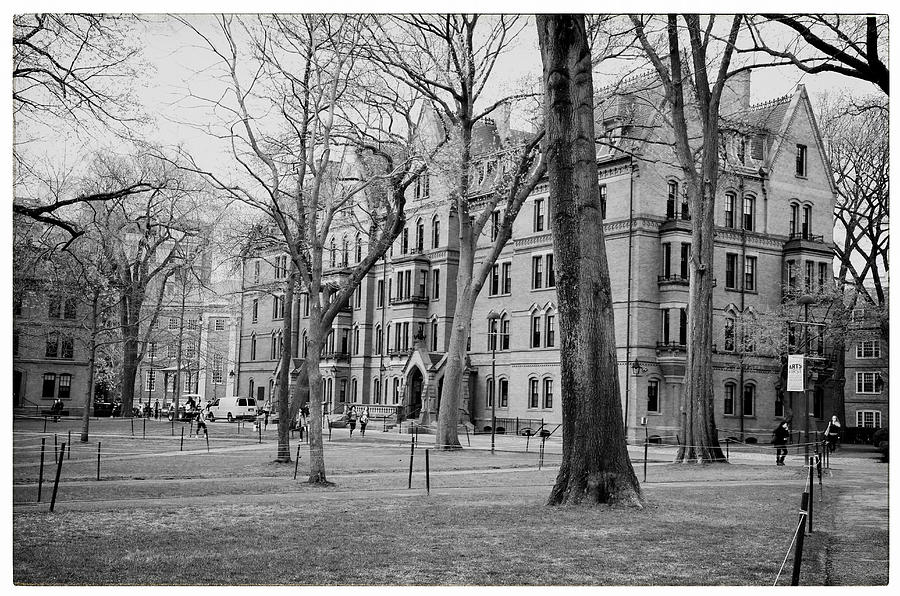 Harvard University Photograph by Georgia Clare