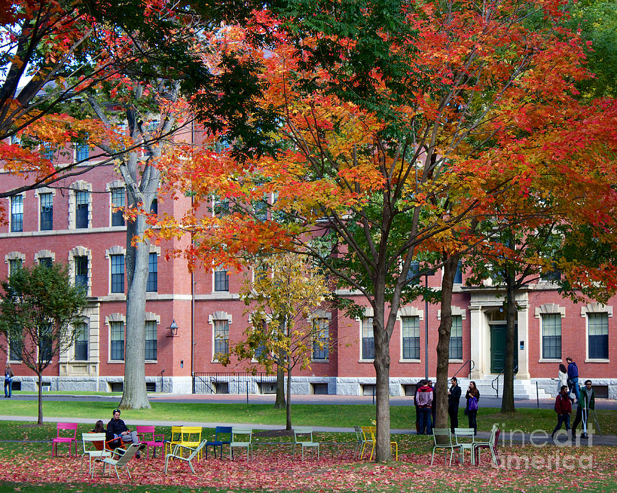 Boston Photograph - Harvard Yard Fall Colors by Jannis Werner