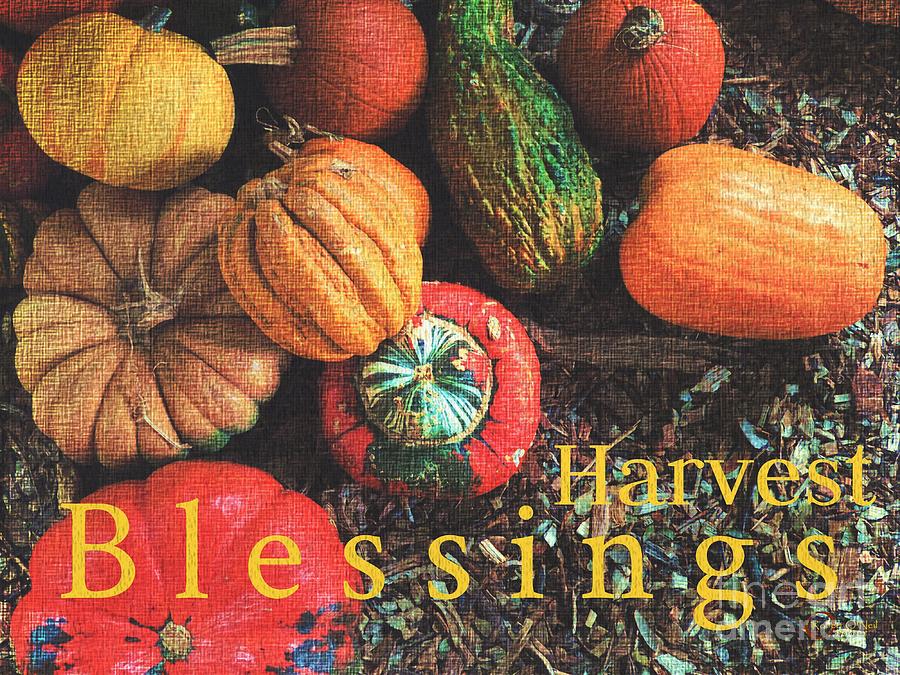 Harvest Blessings Photograph by Robert ONeil