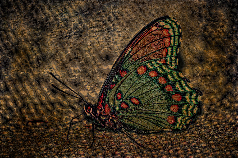 Harvest Butterfly Mixed Media by Lesa Fine