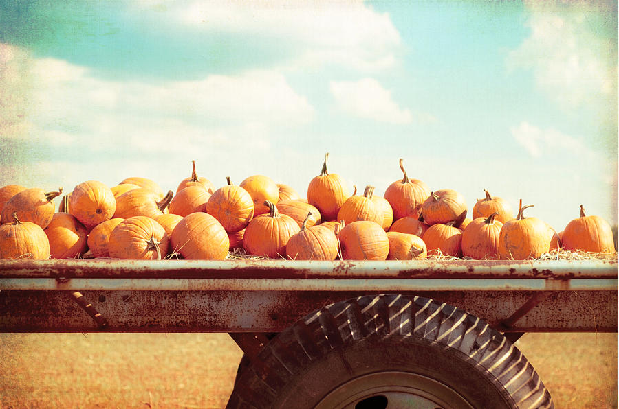 Pumpkin Photograph - Harvest by Carolyn Cochrane
