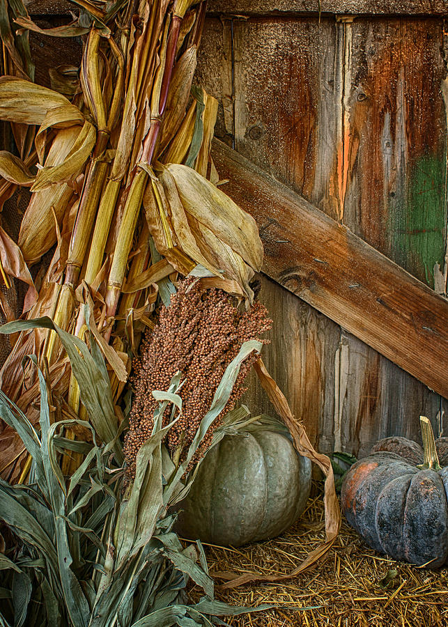 Harvest Corner Photograph by Nikolyn McDonald