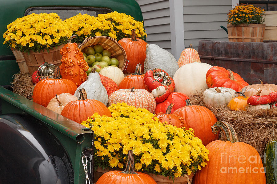 Harvest Display at the Vermont Country Store Photograph by Charles ...