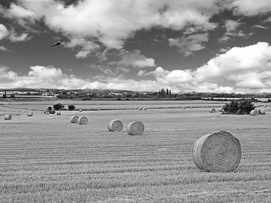 Harvest Fly Past in Black and White Photograph by Gill Billington