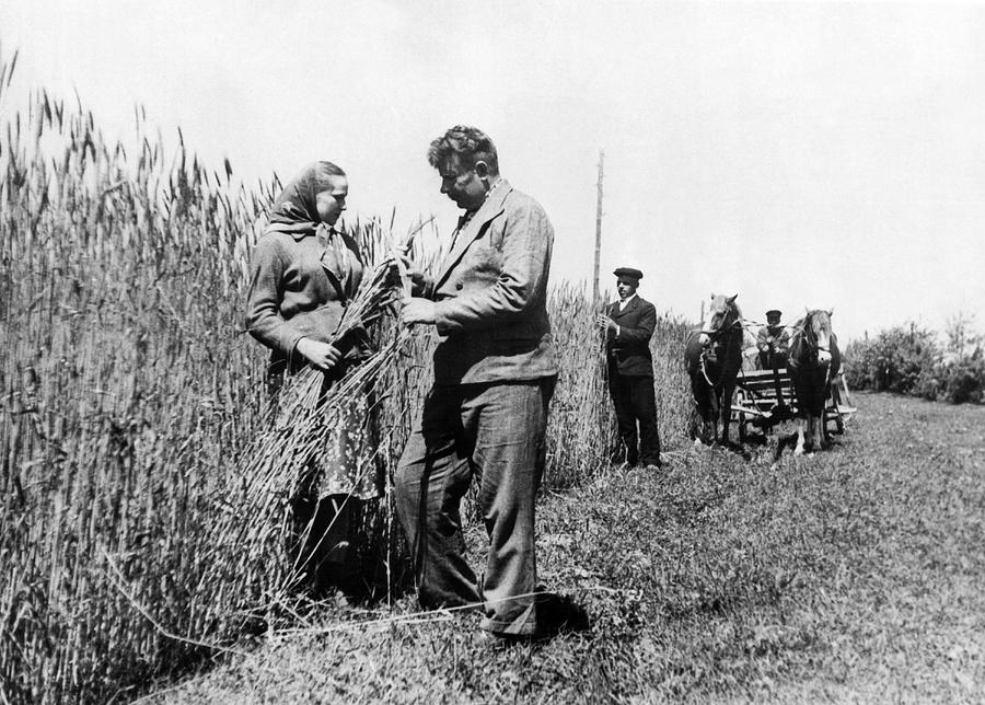 Harvest In The Soviet Ukraine Photograph by Underwood Archives