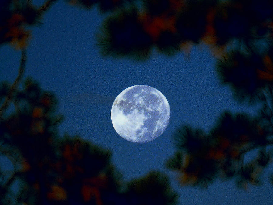 Harvest Moon Color 2013-10-20 Photograph by Jeremy McKay
