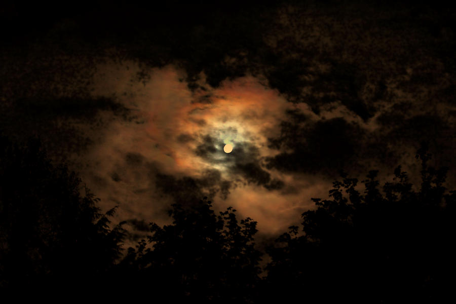 Harvest moon Photograph by Donald Torgerson