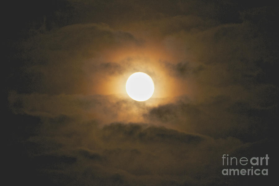 Harvest Moon in the Clouds Photograph by William Norton