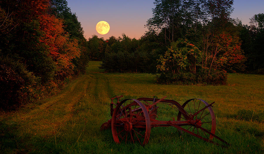 Harvest Moon Photograph by Joe Granita