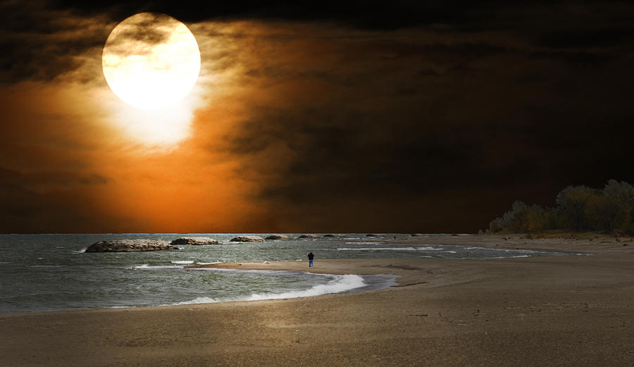 Harvest moon on the Beach Photograph by Randall Branham
