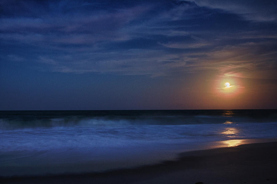 Harvest Moon Rising Photograph by Debi Buck - Fine Art America