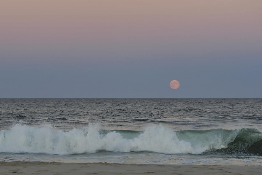Harvest Moon Seaside Park New Jersey 2013 Photograph by Terry DeLuco