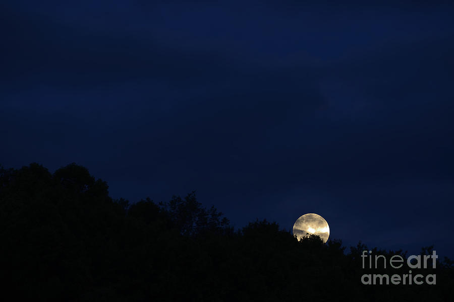 Nature Photograph - Harvest Moon Setting by Thomas R Fletcher