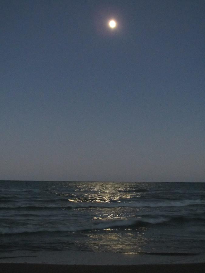 Blue Photograph - Harvest Moonrise by Denise Hoff Blue Photograph - Harvest Moonrise by Denise Hoff