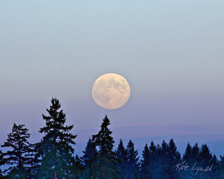 Harvest Moonrise by Kate Lynch Harvest Moonrise by Kate Lynch