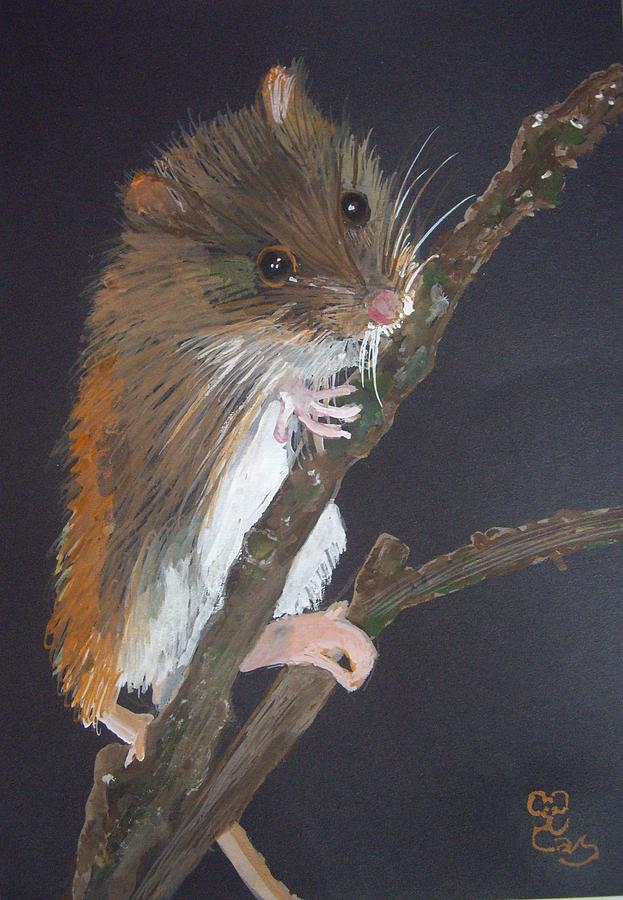 Harvest Mouse Painting by Carole Robins