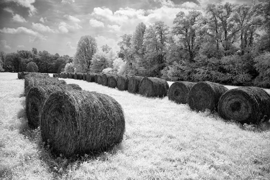 Harvest of Hay - Blue Ridge Parkway Photograph by Dan Carmichael
