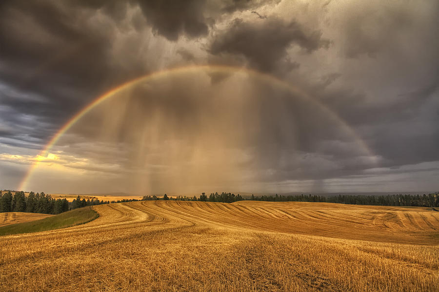 Summer Photograph - Harvest Rainbow by Mark Kiver