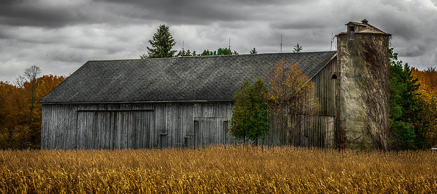 Harvest Season Photograph by Paul Freidlund
