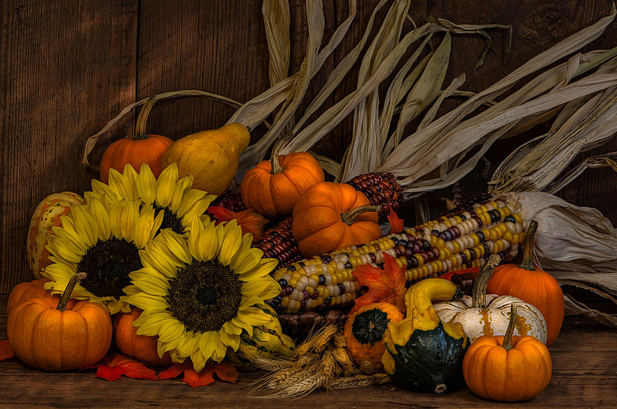 Harvest Season Photograph by Randy Walton