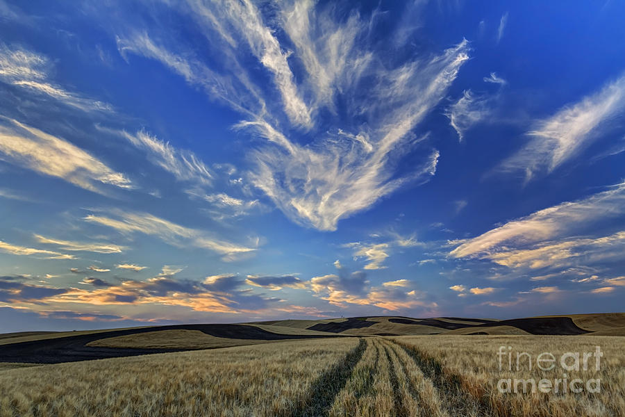 Sunset Photograph - Harvest Sky by Mark Kiver