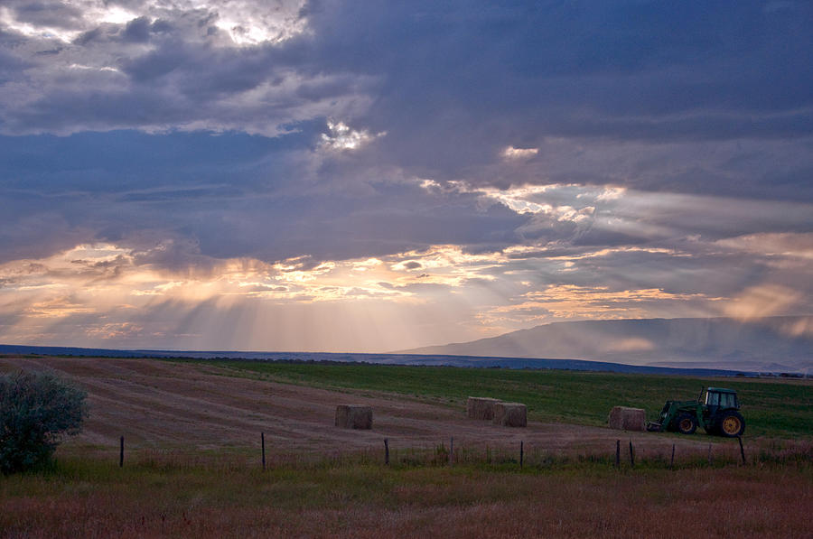 Harvest Sunbeams  Photograph by Eric Rundle