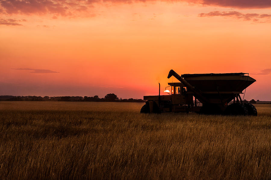 Harvest Sunset Photograph by Jay Stockhaus