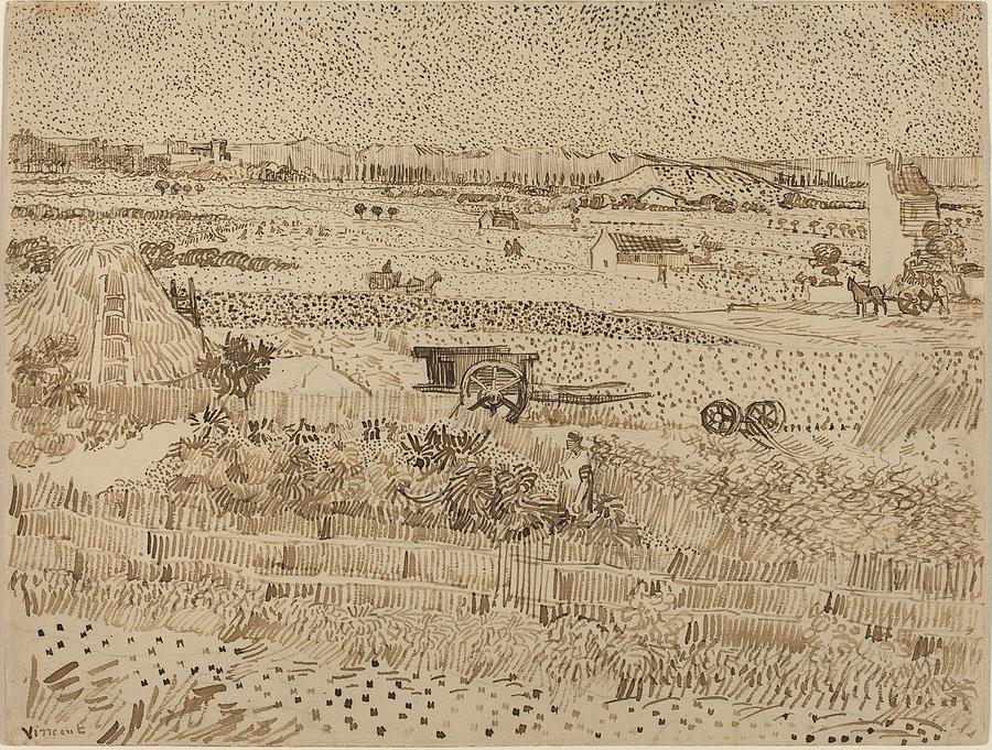 Vincent Van Gogh Drawing - Harvest  The Plain of La Crau by Vincent van Gogh