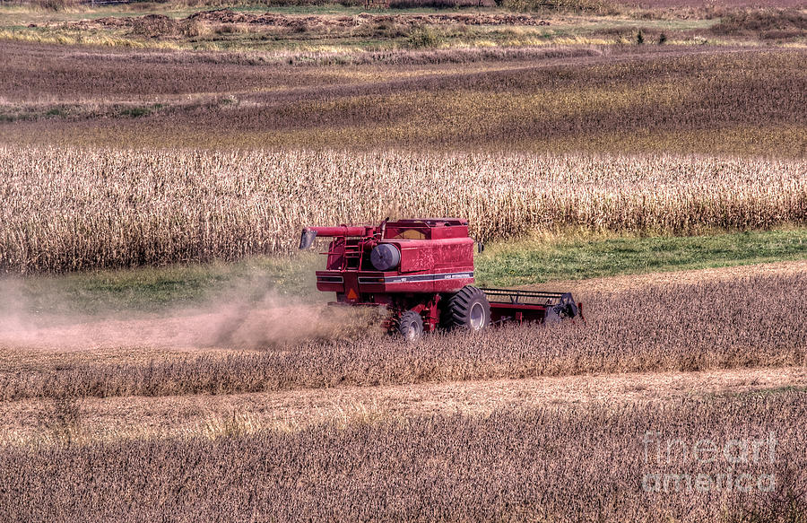 Harvest Photograph by Thomas Danilovich