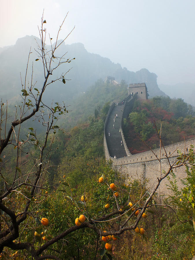 Harvest Time At The Great Wall Of China Photograph