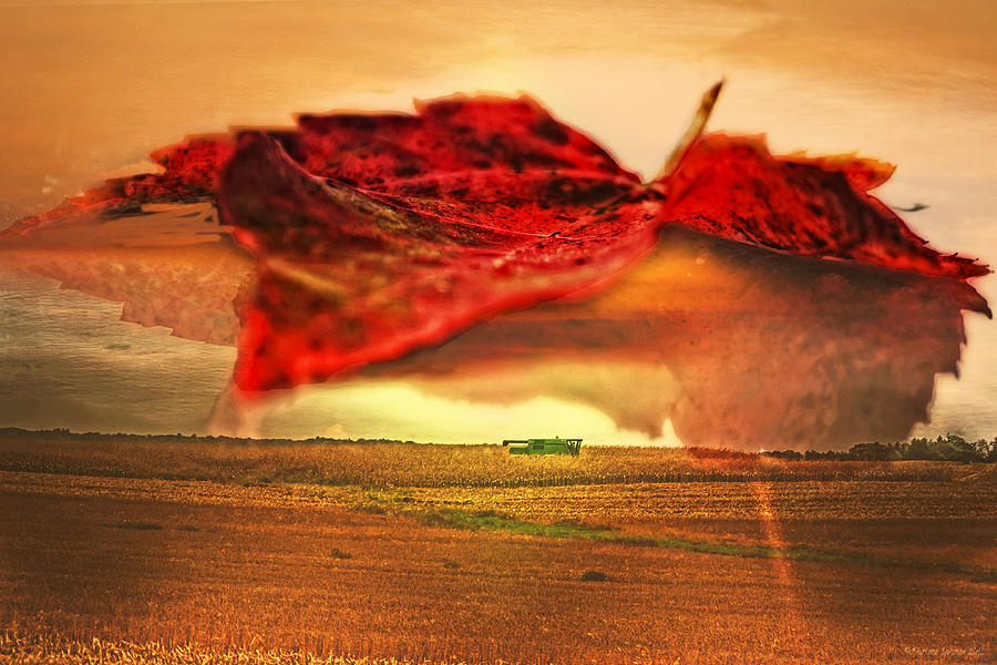 Sunset Photograph - Harvest Time by Darlene Bell