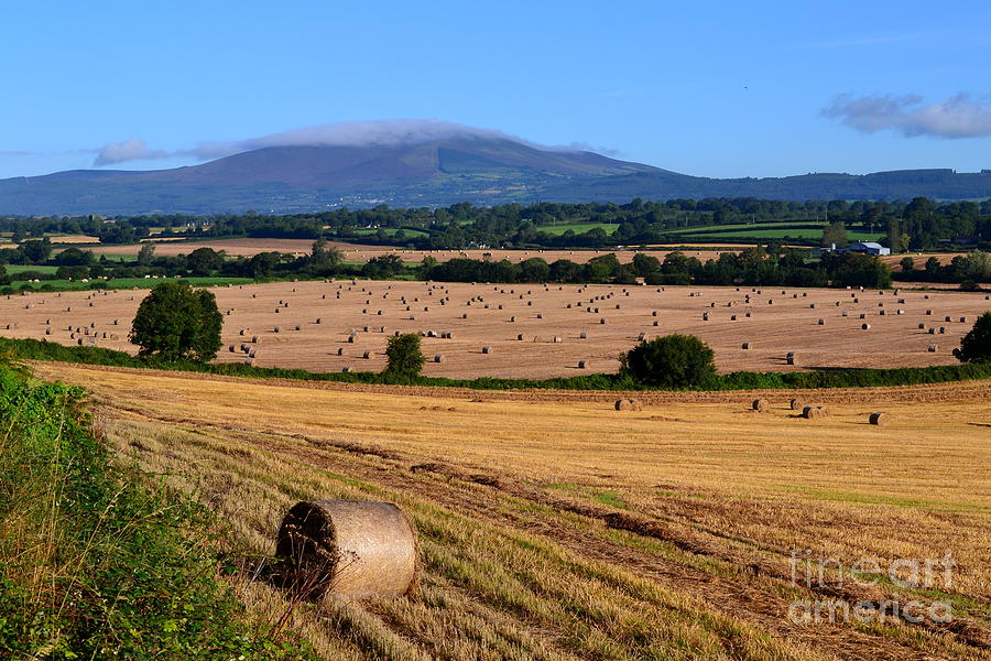 Harvest Time in Tipperary Photograph by Joe Cashin