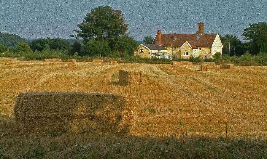Harvest Time Photograph by John Topman