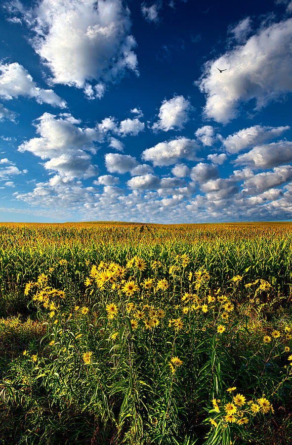 Landscape Photograph - Harvest Time by Phil Koch