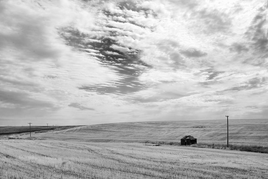 Harvested Wheatfield Photograph by Allan Van Gasbeck