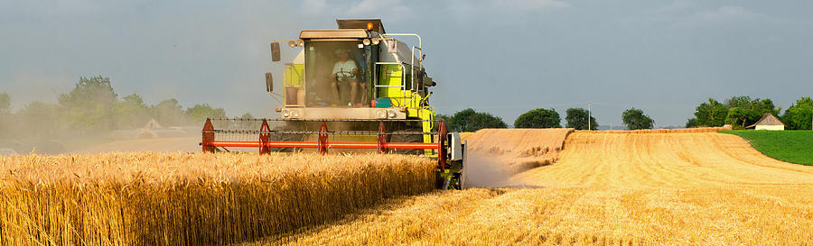 Harvester combine harvesting wheat in summer Photograph by Slavica