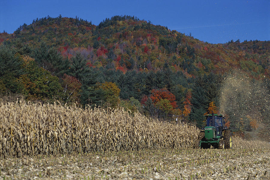Fall Photograph - Harvester In Cornfield by Joseph Sohm